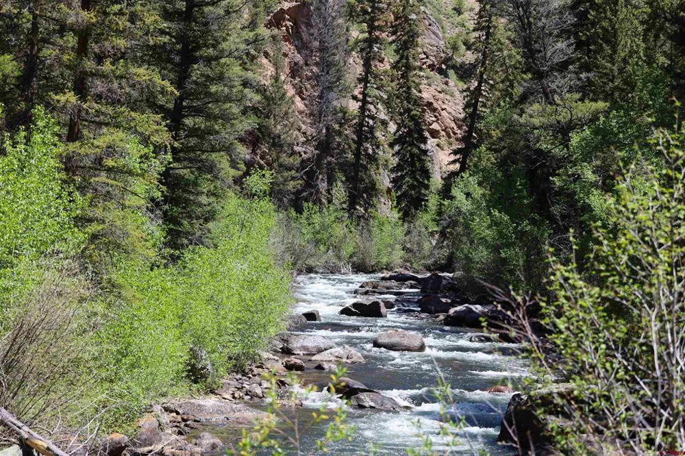11109 County Road 742 Almont, CO 81210