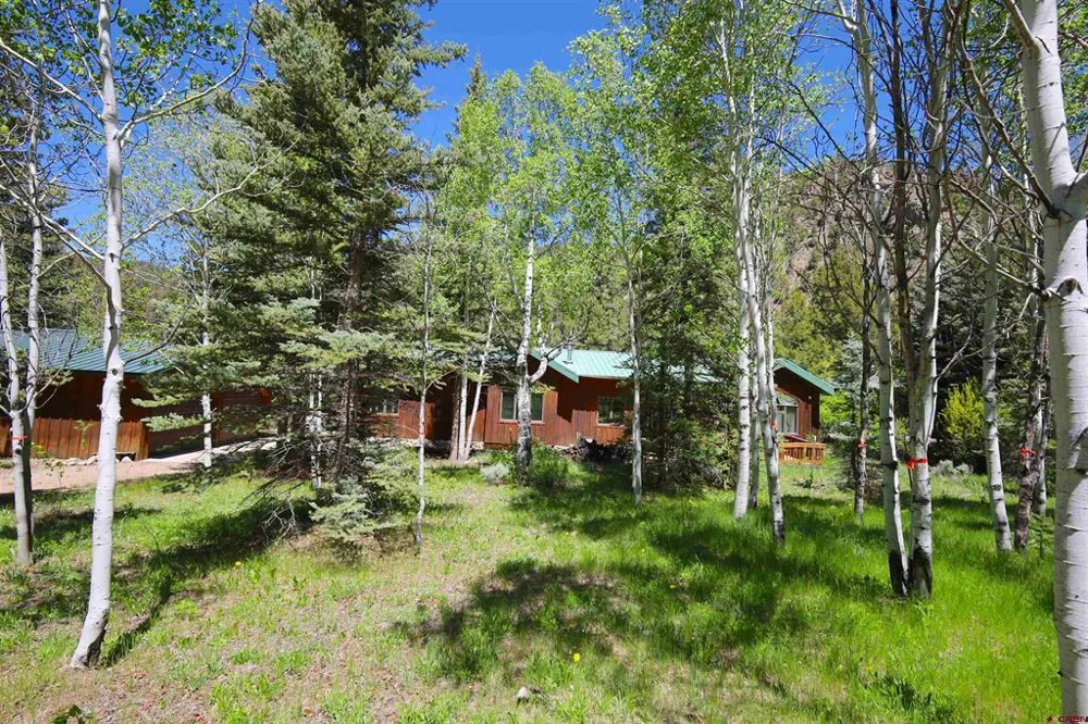 11109 County Road 742 Almont, CO 81210