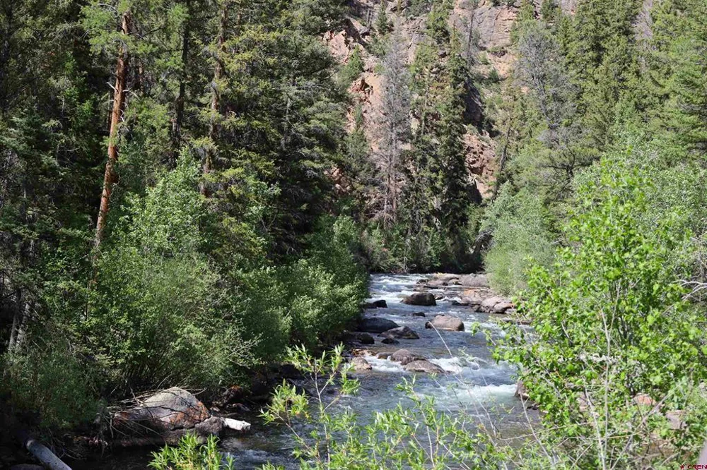 11109 County Road 742 Almont, CO 81210