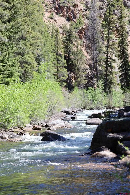 11109 County Road 742 Almont, CO 81210
