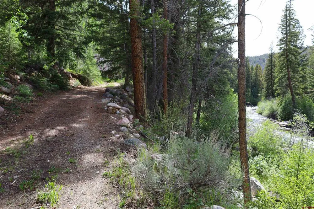 11109 County Road 742 Almont, CO 81210