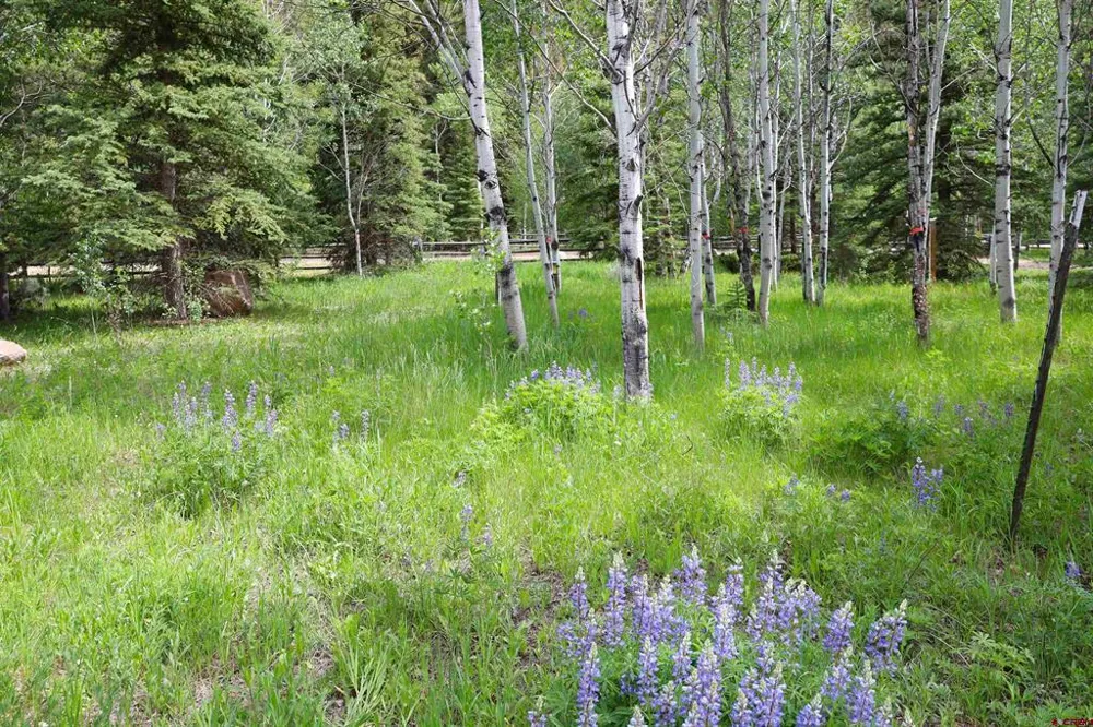 11109 County Road 742 Almont, CO 81210