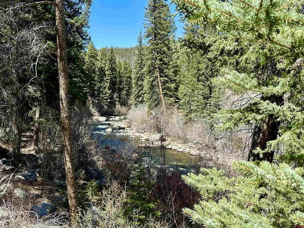 11109 County Road 742 Almont, CO 81210