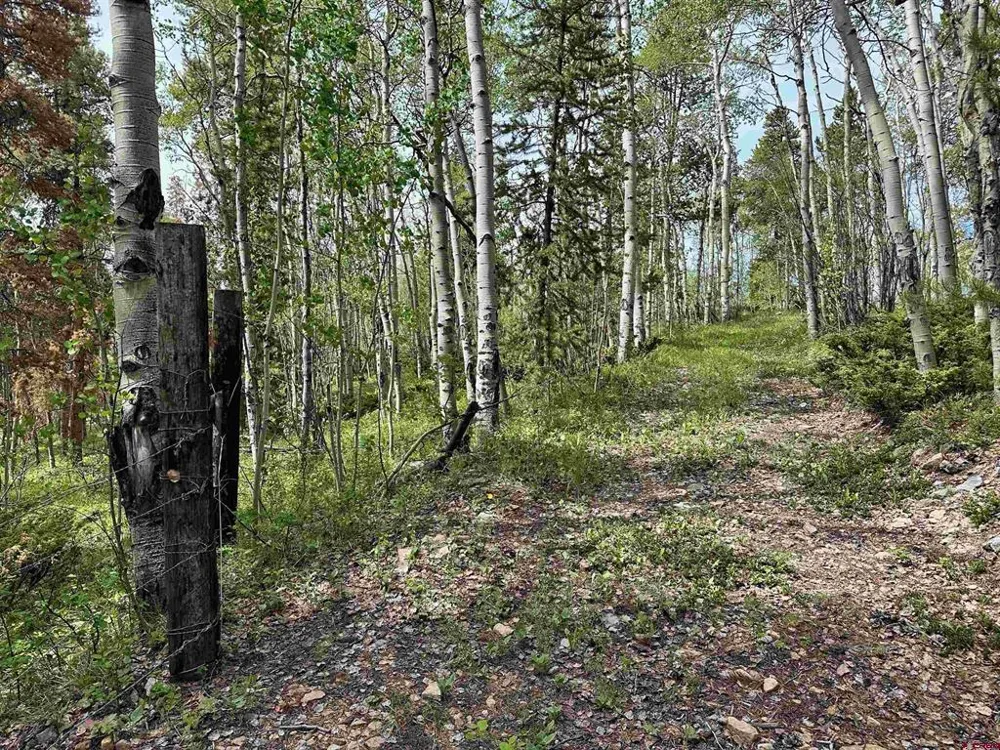 County Road 743 Gunnison, CO 81230