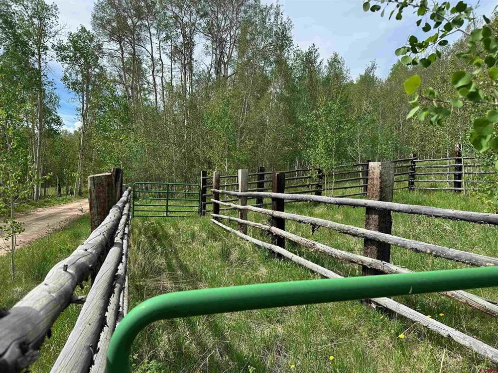 County Road 743 Gunnison, CO 81230