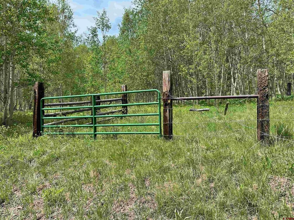 County Road 743 Gunnison, CO 81230