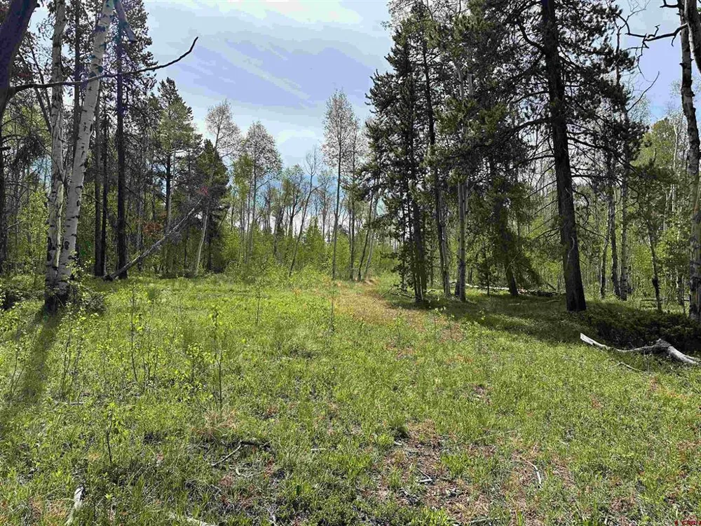County Road 743 Gunnison, CO 81230