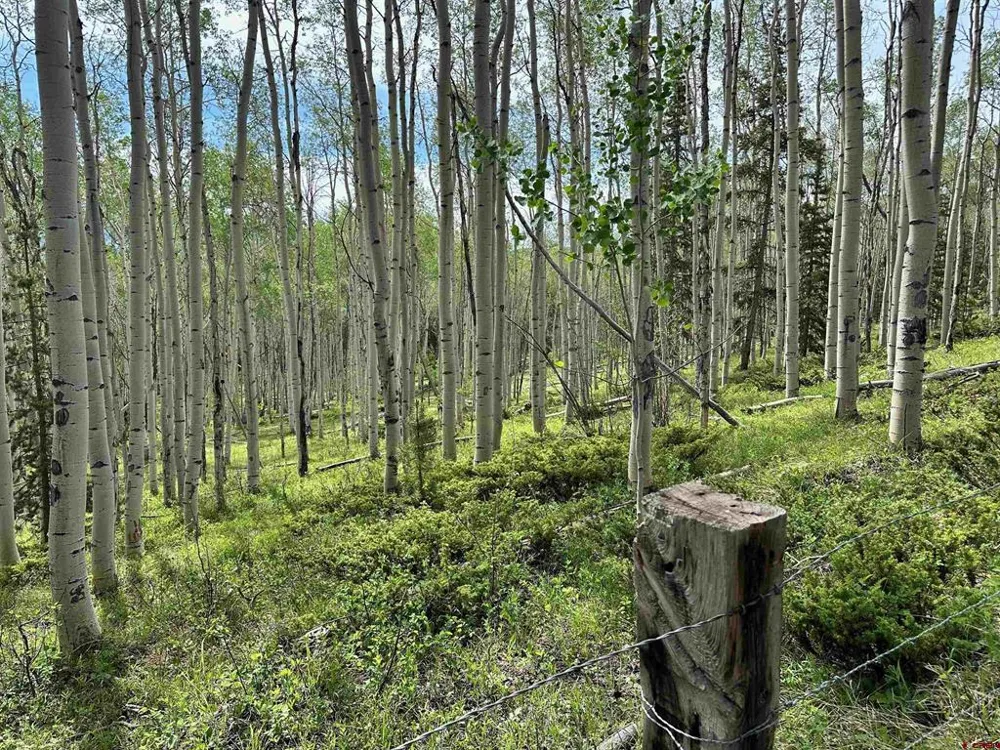 County Road 743 Gunnison, CO 81230