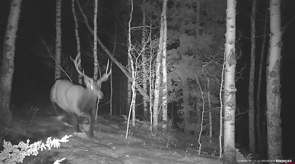County Road 743 Gunnison, CO 81230
