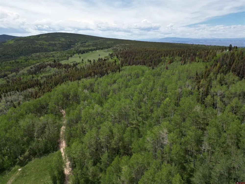 County Road 743 Gunnison, CO 81230