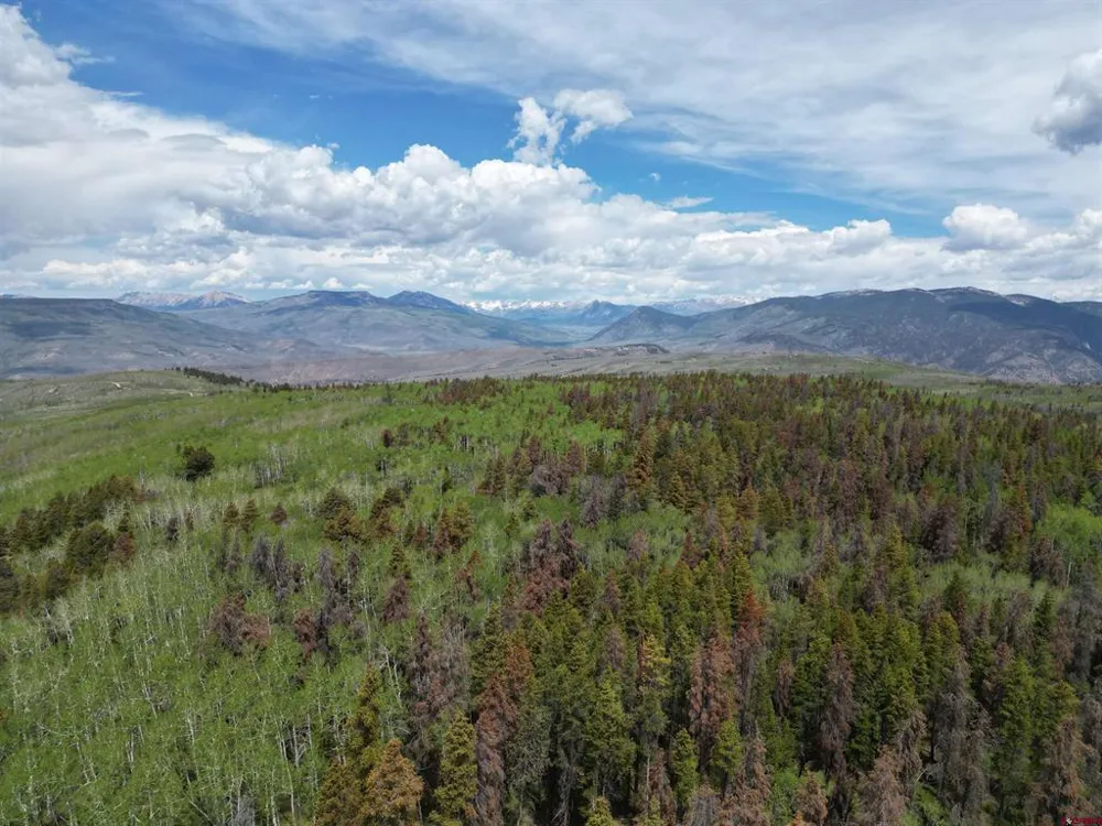 County Road 743 Gunnison, CO 81230