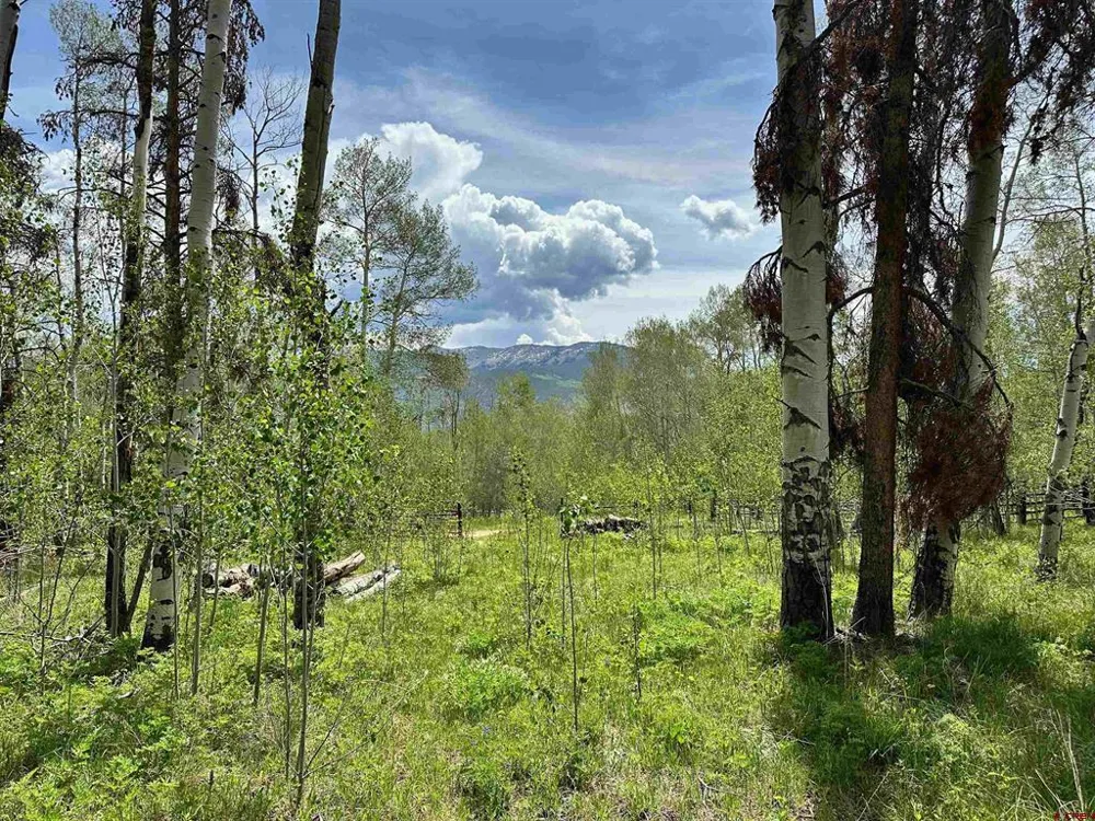 County Road 743 Gunnison, CO 81230
