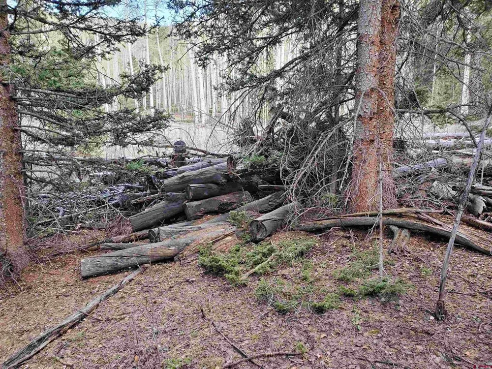 6676 alexandra Road Fort  Garland, CO 81133