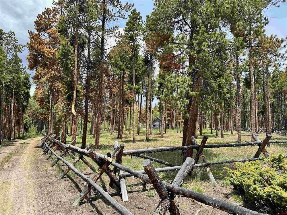 12000 County Road 743 Gunnison, CO 81230