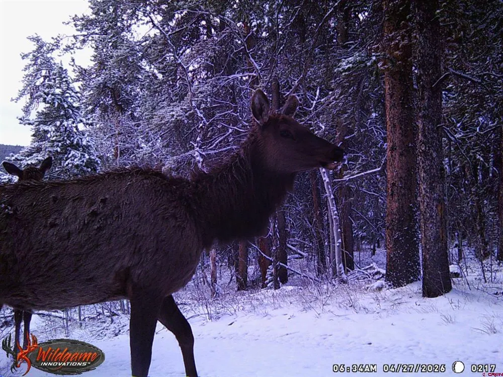 12000 County Road 743 Gunnison, CO 81230