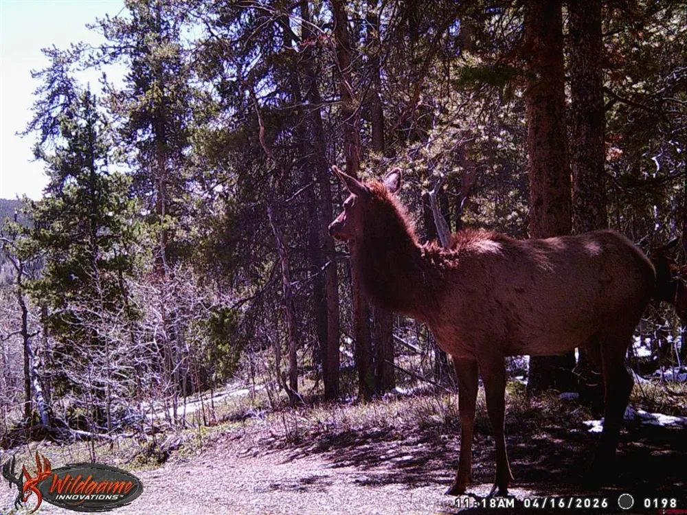 12000 County Road 743 Gunnison, CO 81230