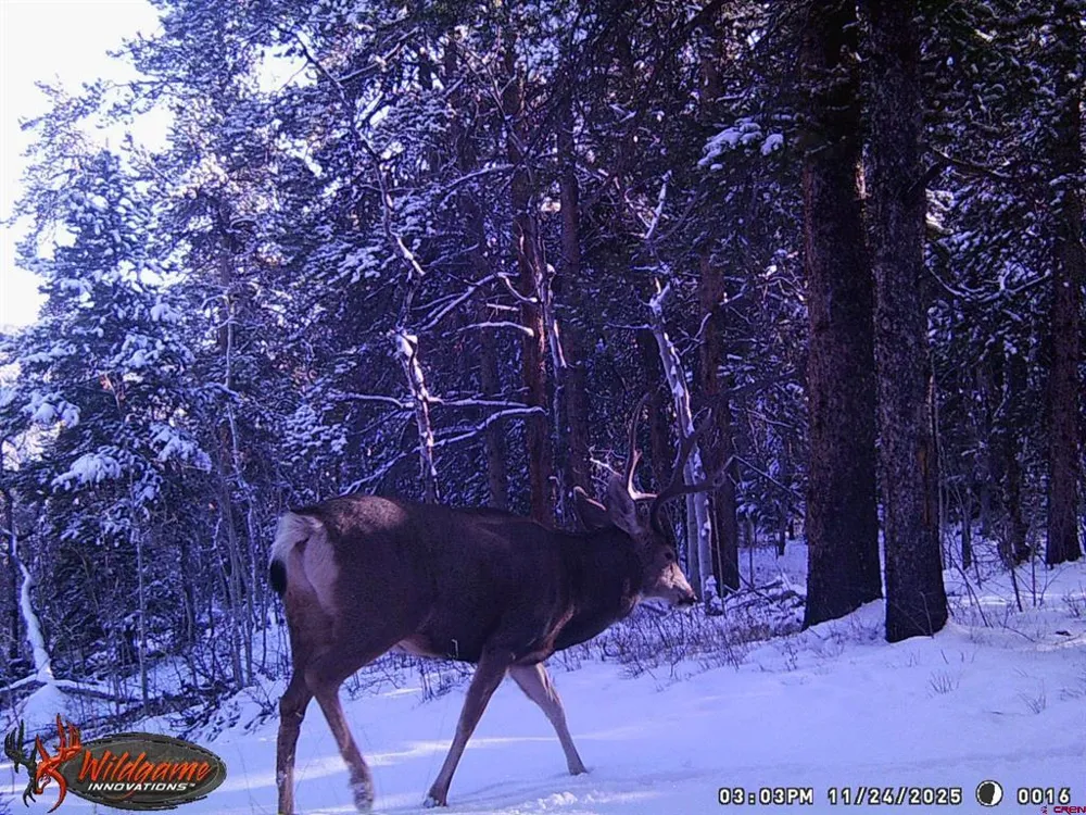 12000 County Road 743 Gunnison, CO 81230