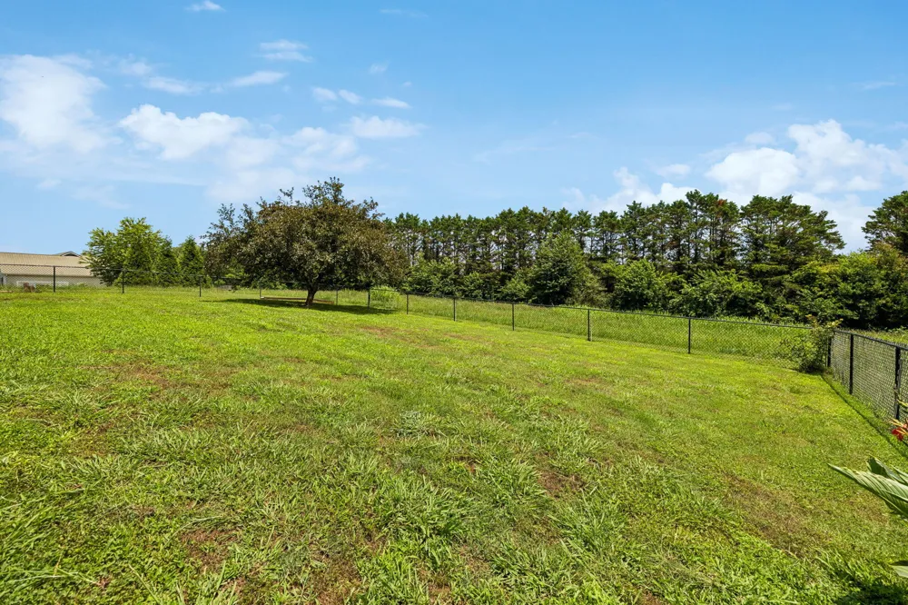 133 Columbus Landing Delano, TN 37325