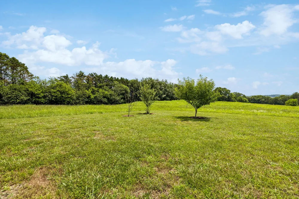 133 Columbus Landing Delano, TN 37325
