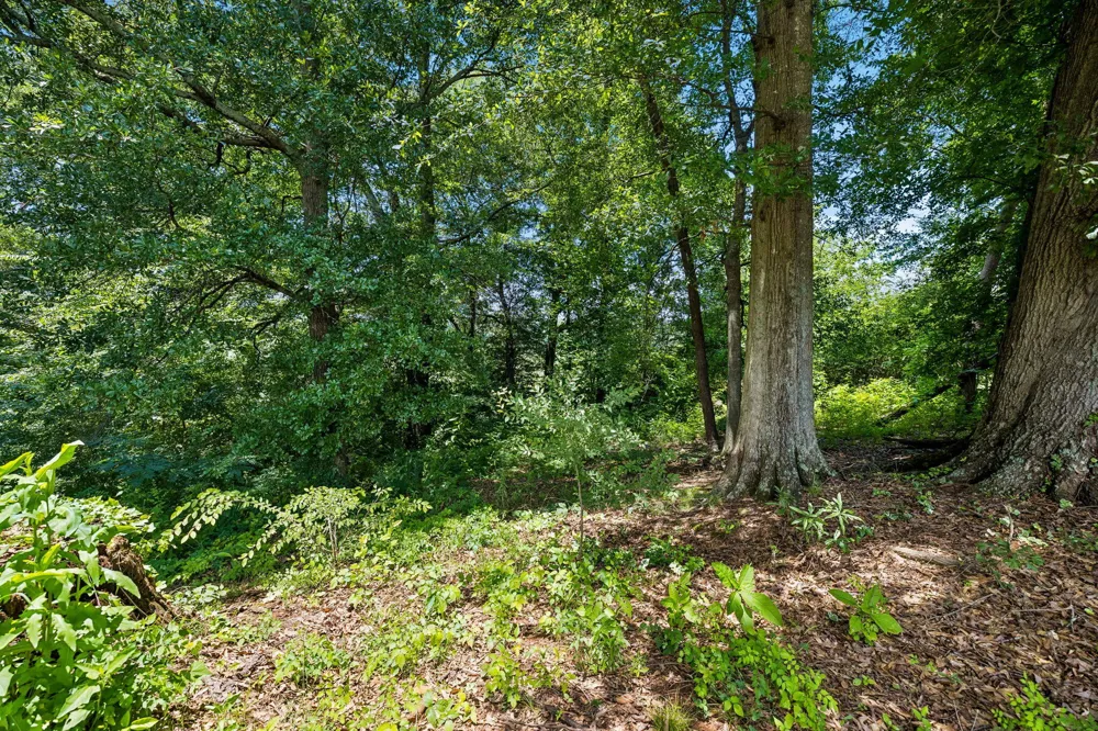 133 Columbus Landing Delano, TN 37325