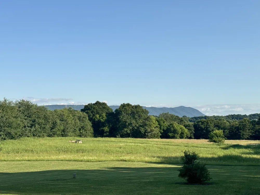 133 Columbus Landing Delano, TN 37325