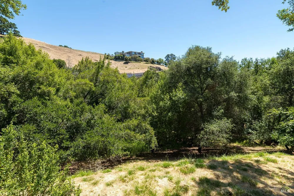 46 Miwok Drive San Anselmo, CA 94960