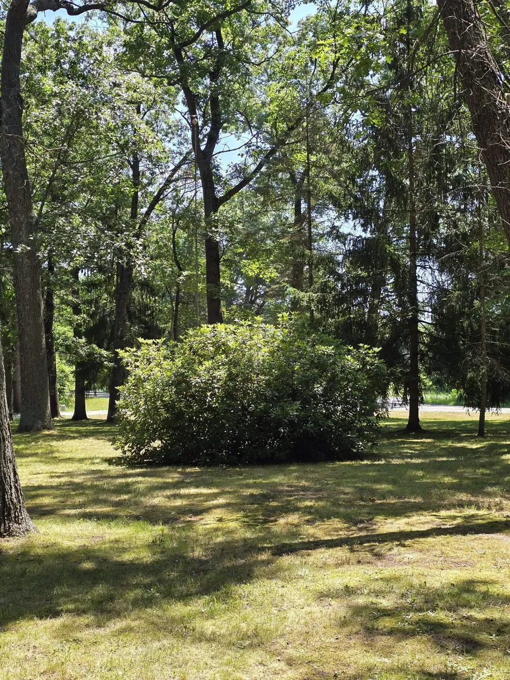4620 W Meinert Park Road Montague, MI 49437