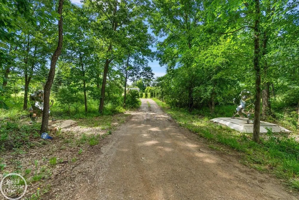 850 Frick Road Addison Township, MI 48367