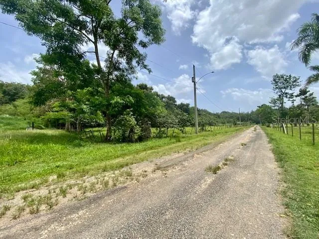 PR 155 RAMAL 646 Vega Baja, PR 00693
