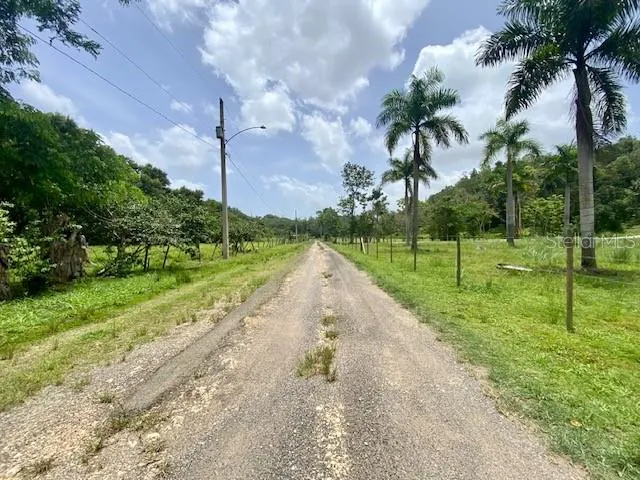 PR 155 RAMAL 646 Vega Baja, PR 00693