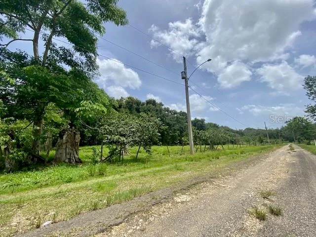 PR 155 RAMAL 646 Vega Baja, PR 00693