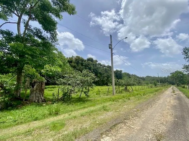 PR 155 RAMAL 646 Vega Baja, PR 00693