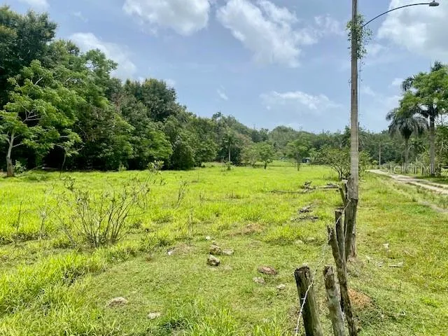 PR 155 RAMAL 646 Vega Baja, PR 00693