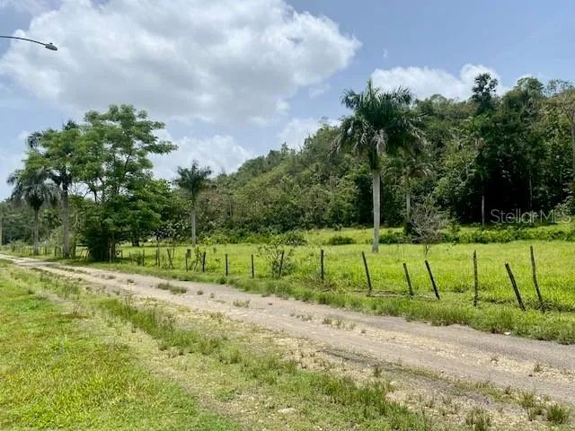 PR 155 RAMAL 646 Vega Baja, PR 00693