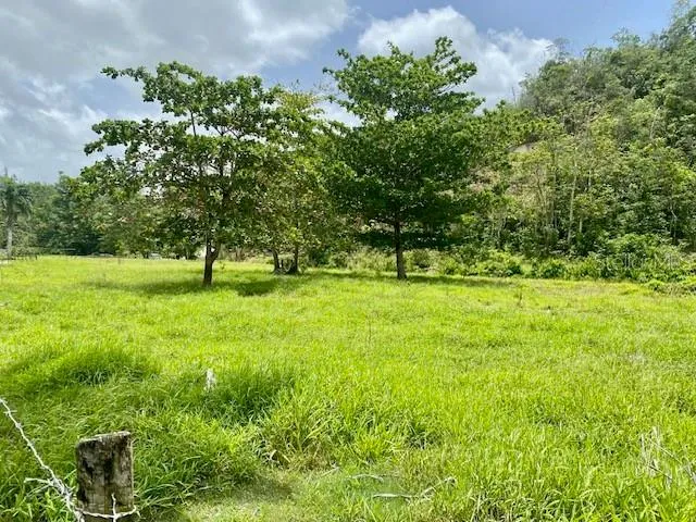 PR 155 RAMAL 646 Vega Baja, PR 00693
