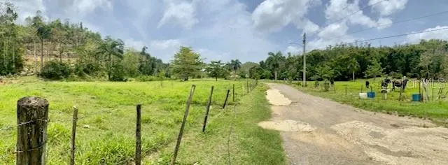 PR 155 RAMAL 646 Vega Baja, PR 00693