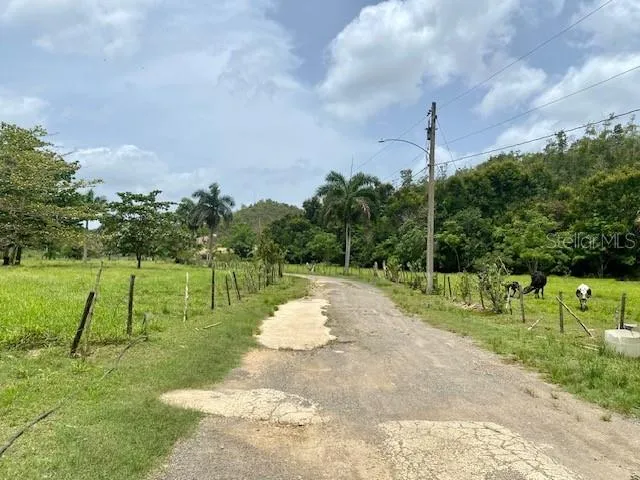 PR 155 RAMAL 646 Vega Baja, PR 00693