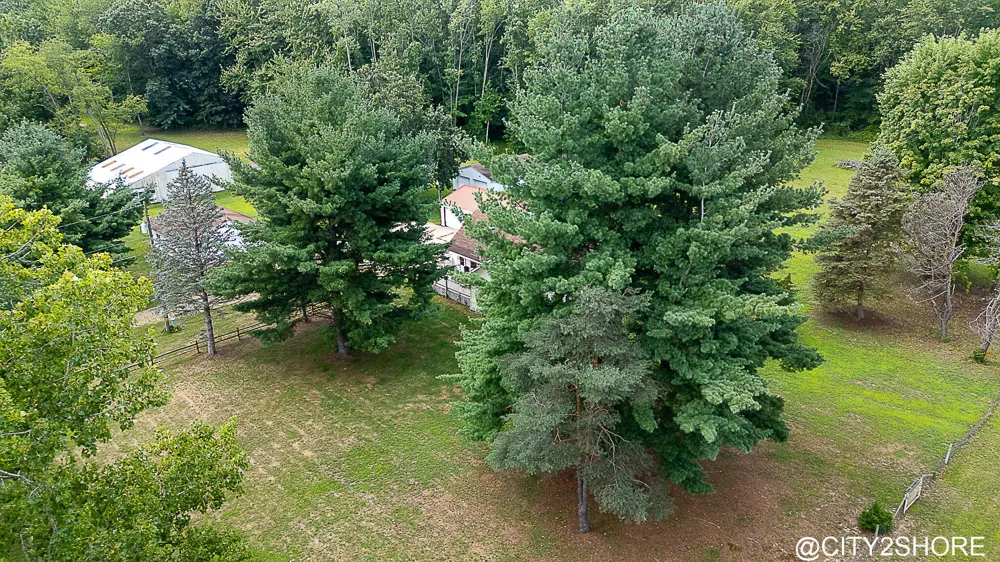 9905 52nd Ave Allendale, MI 49401