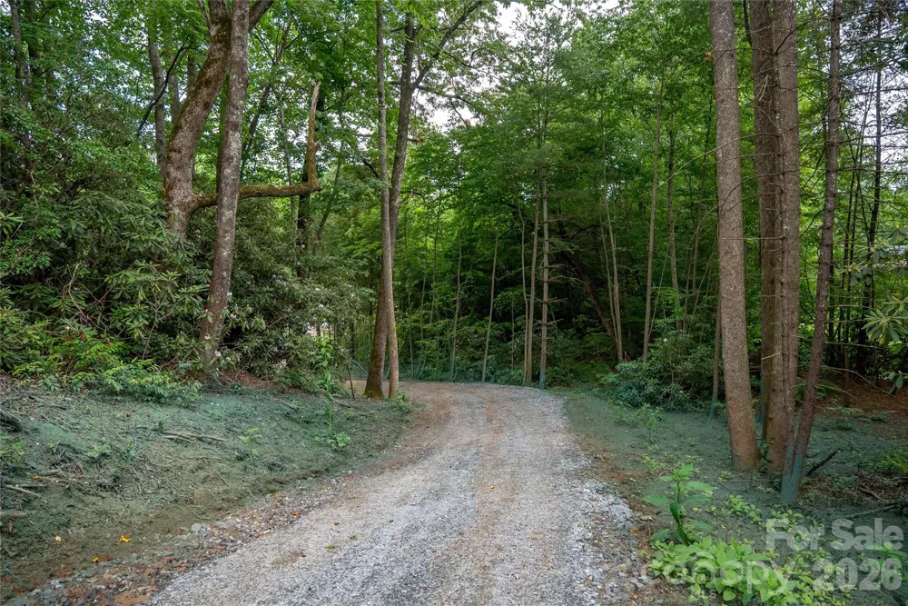 TBD Cherryfield Loop Road Brevard, NC 28712