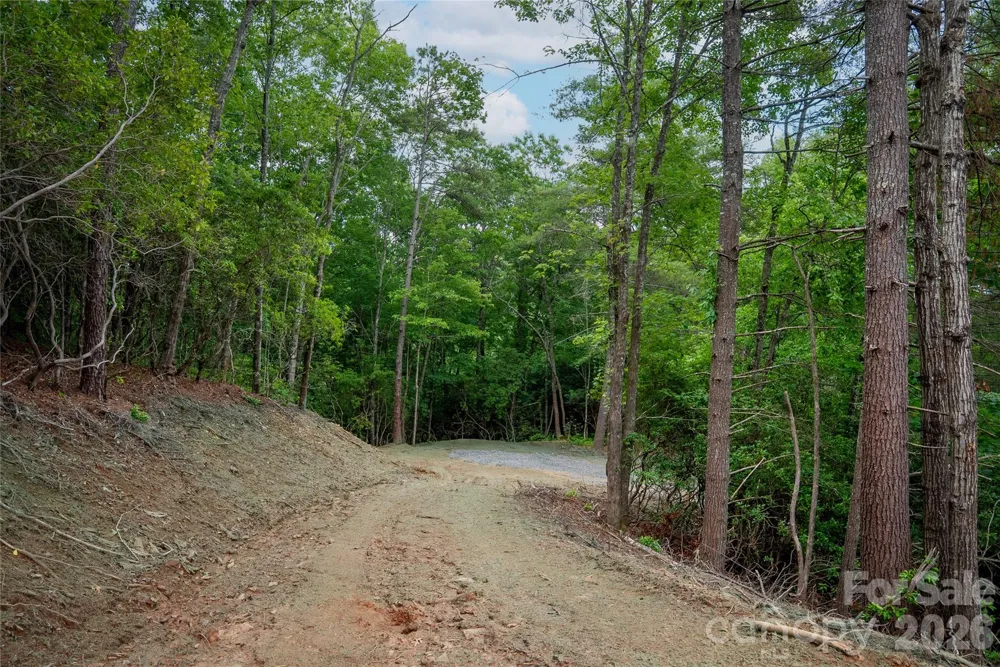 TBD Cherryfield Loop Road Brevard, NC 28712