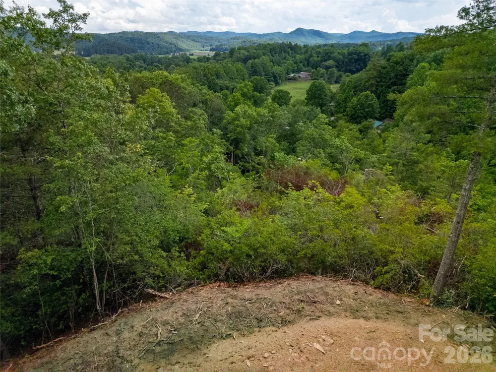TBD Cherryfield Loop Road Brevard, NC 28712