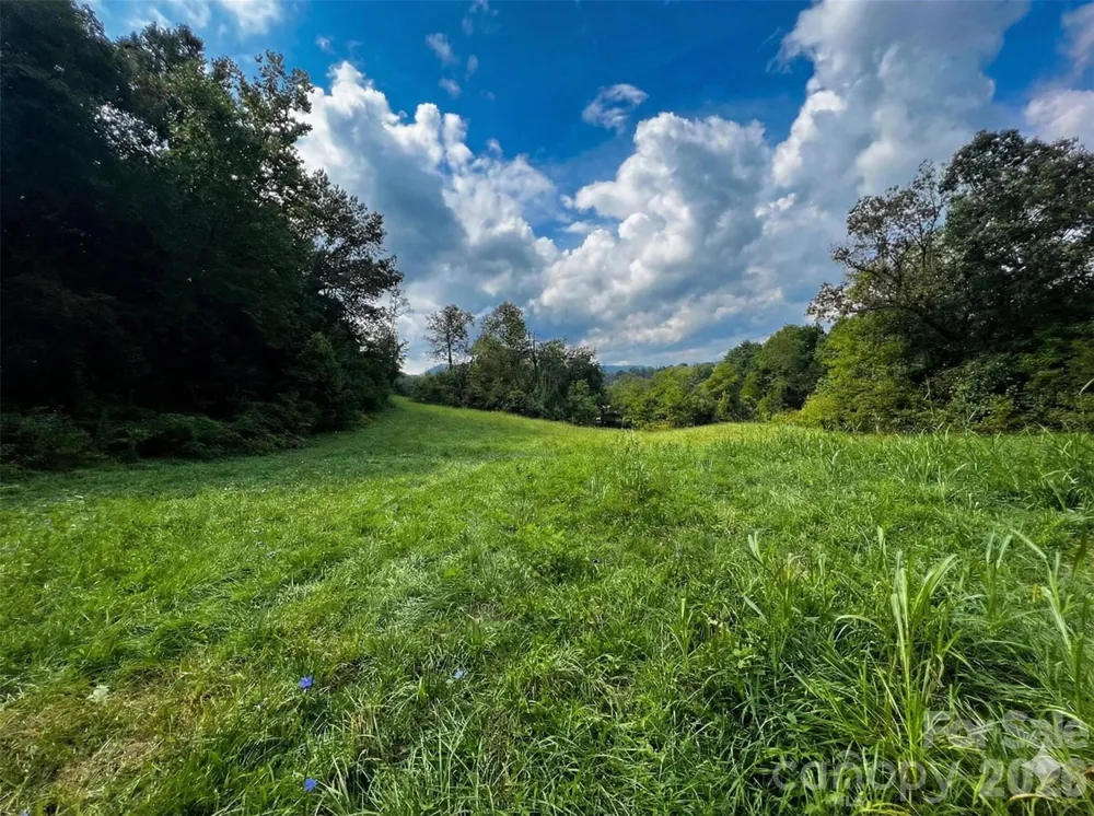 37 Amber Lane Clyde, NC 28721