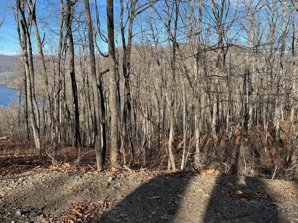 762 Scarlet Oak Road Tuckasegee, NC 28783