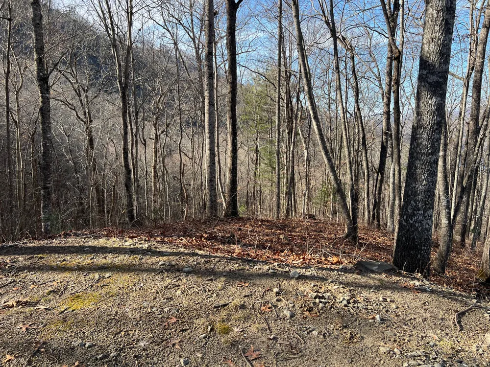 762 Scarlet Oak Road Tuckasegee, NC 28783