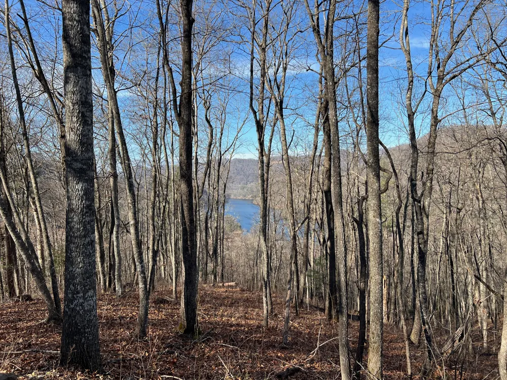 762 Scarlet Oak Road Tuckasegee, NC 28783