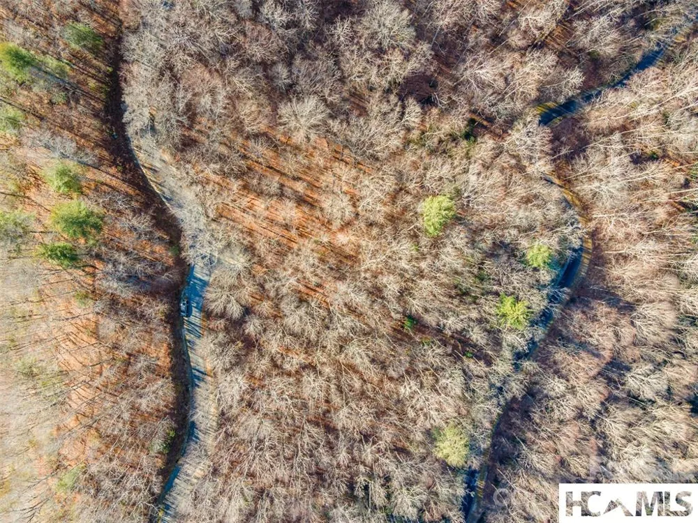762 Scarlet Oak Road Tuckasegee, NC 28783