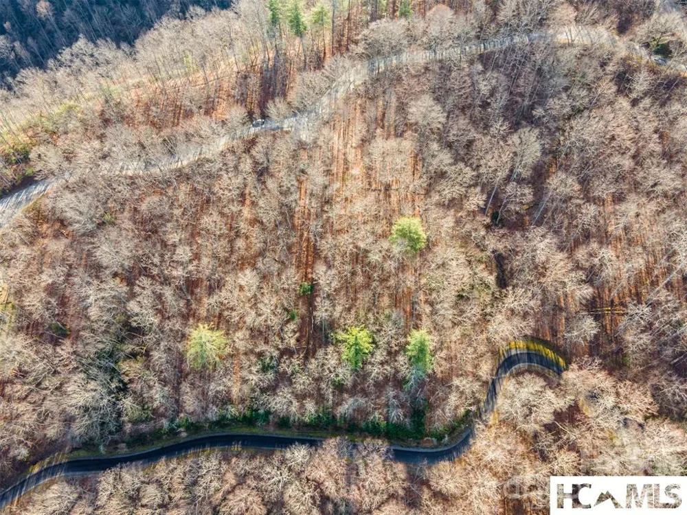 762 Scarlet Oak Road Tuckasegee, NC 28783