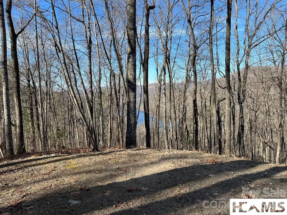 762 Scarlet Oak Road Tuckasegee, NC 28783