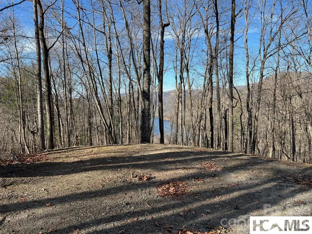 762 Scarlet Oak Road Tuckasegee, NC 28783