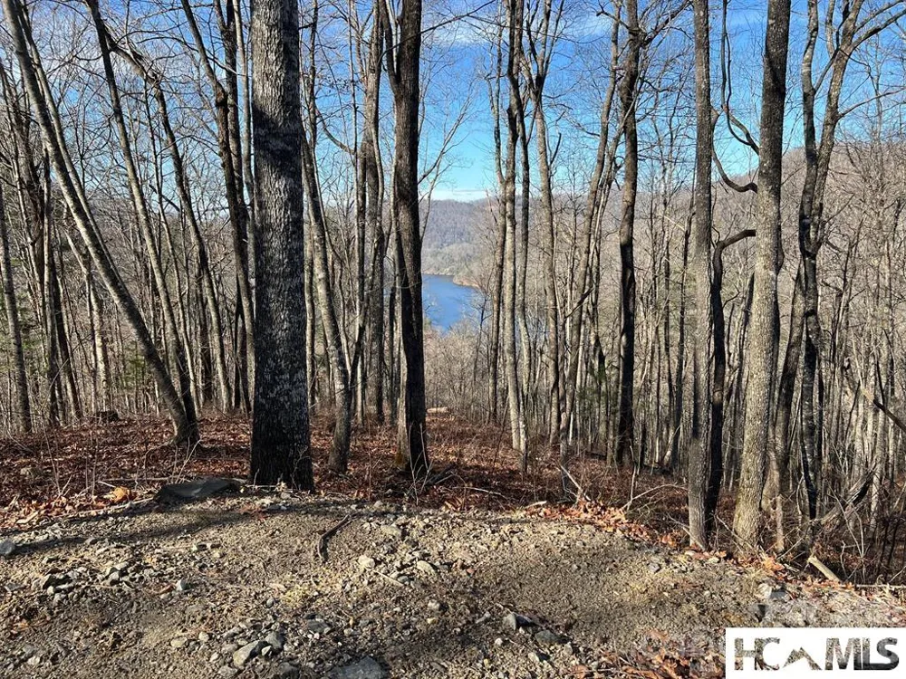 762 Scarlet Oak Road Tuckasegee, NC 28783